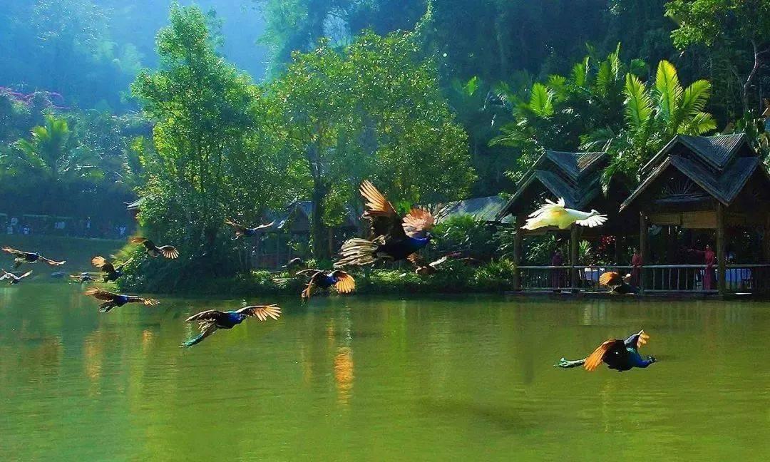结婚后是租房好还是买房好?,解决问题轻松便捷