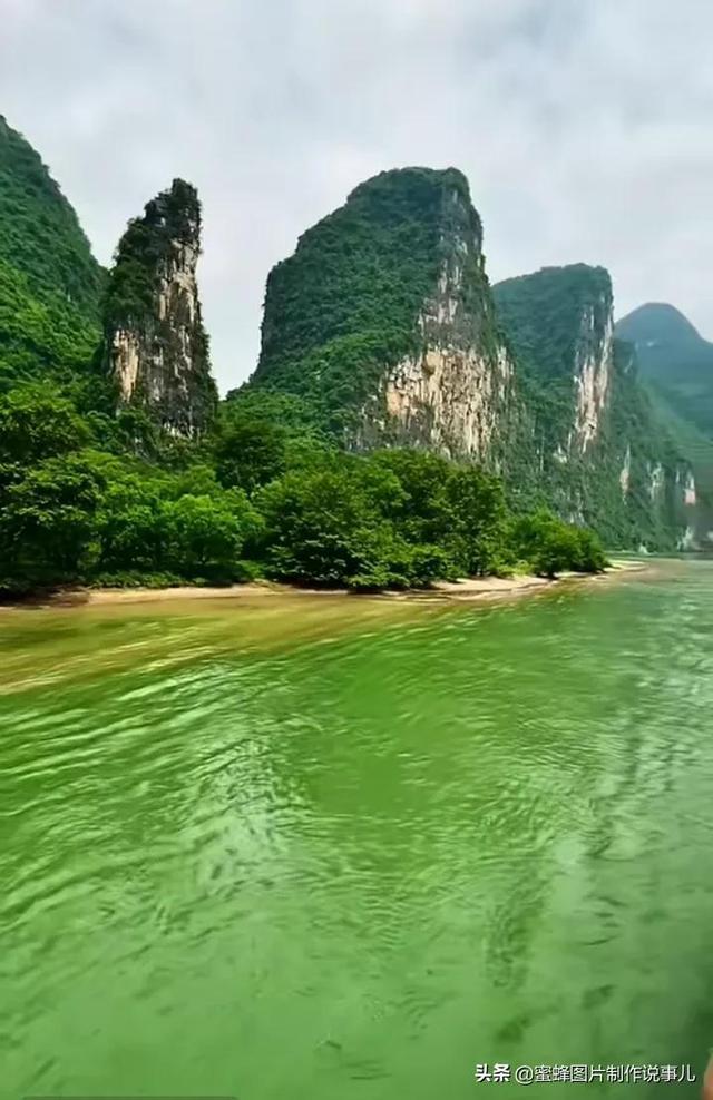 嘉日单词